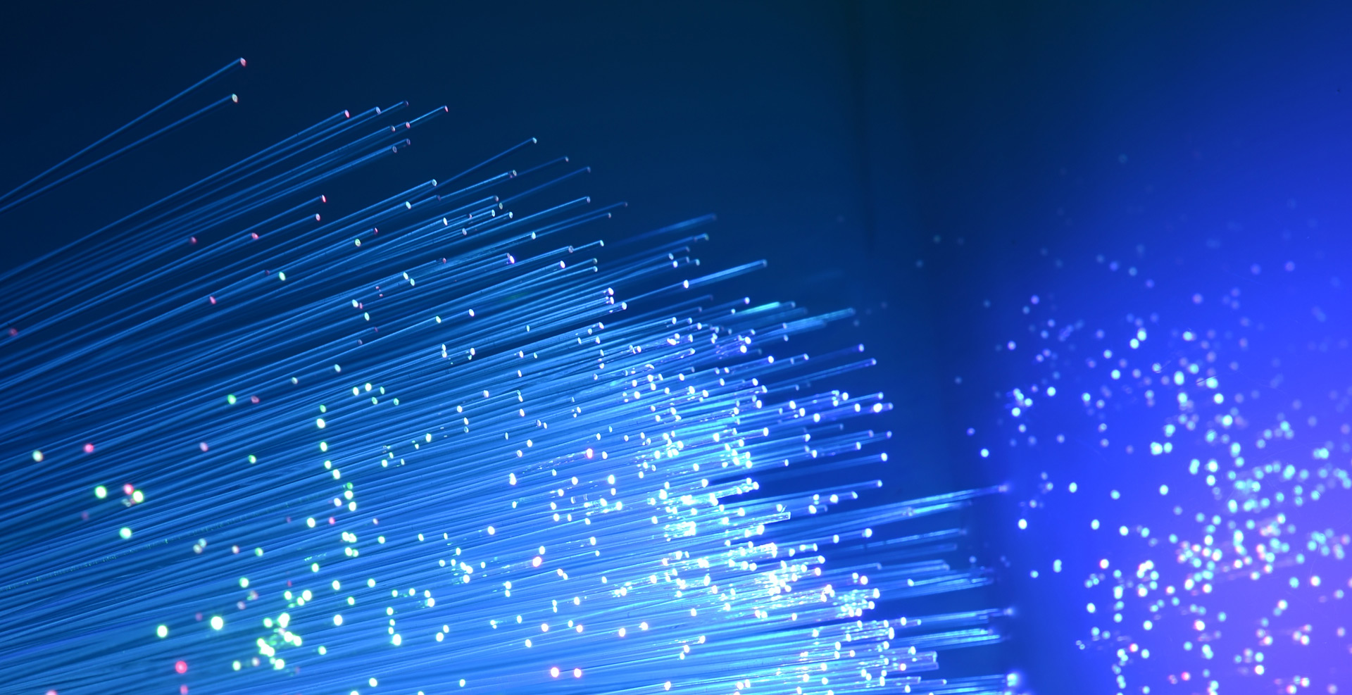 Read more about the article Web-based Training for WINGARD PE and DCMS Software Now Available