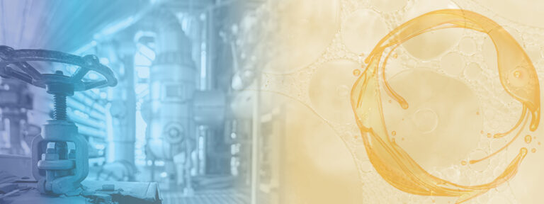 ARA's Hydrothermal Fat Splitting Process