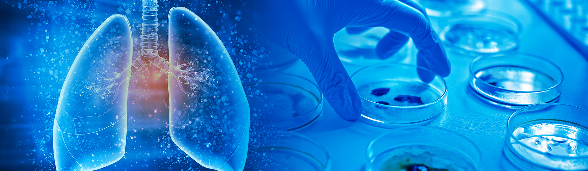 Read more about the article Respiratory Protection Center of Excellence